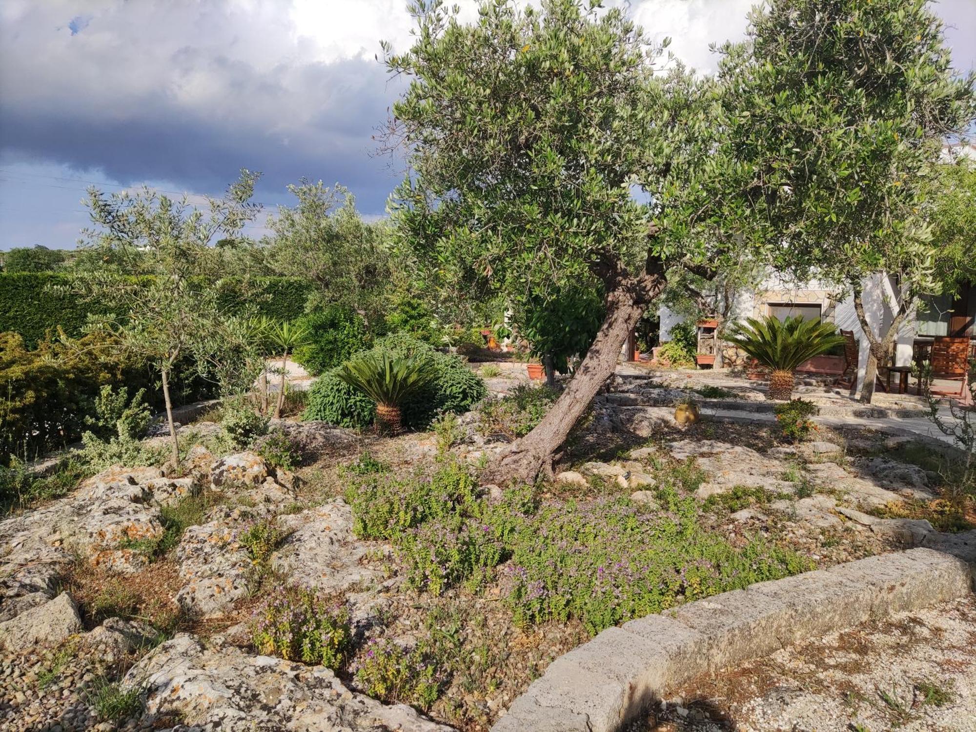 Villa Giulia B&B Castellana Grotte Exteriör bild